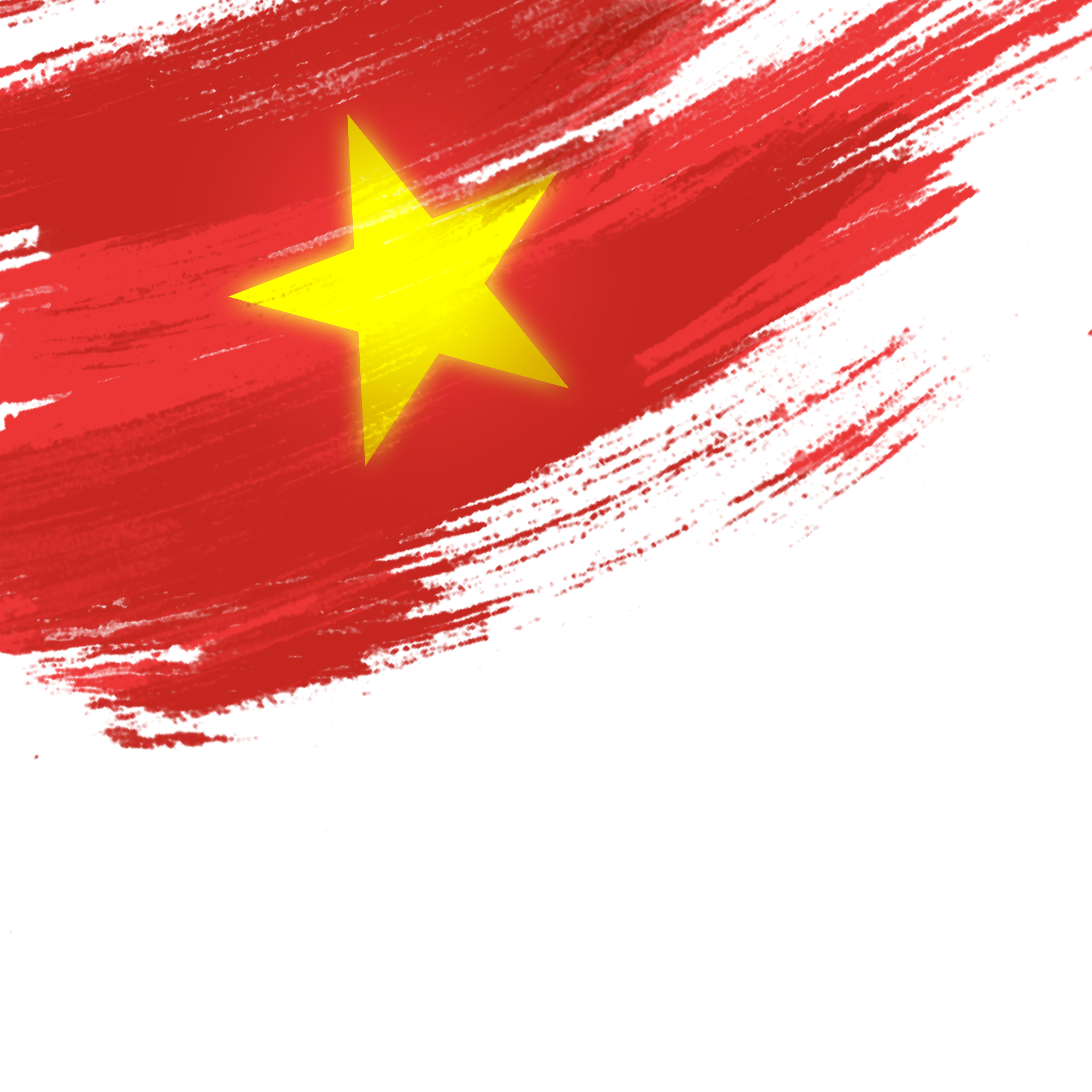 Lá cờ Việt Nam